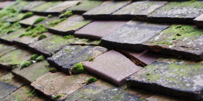 Covington roof repair costs